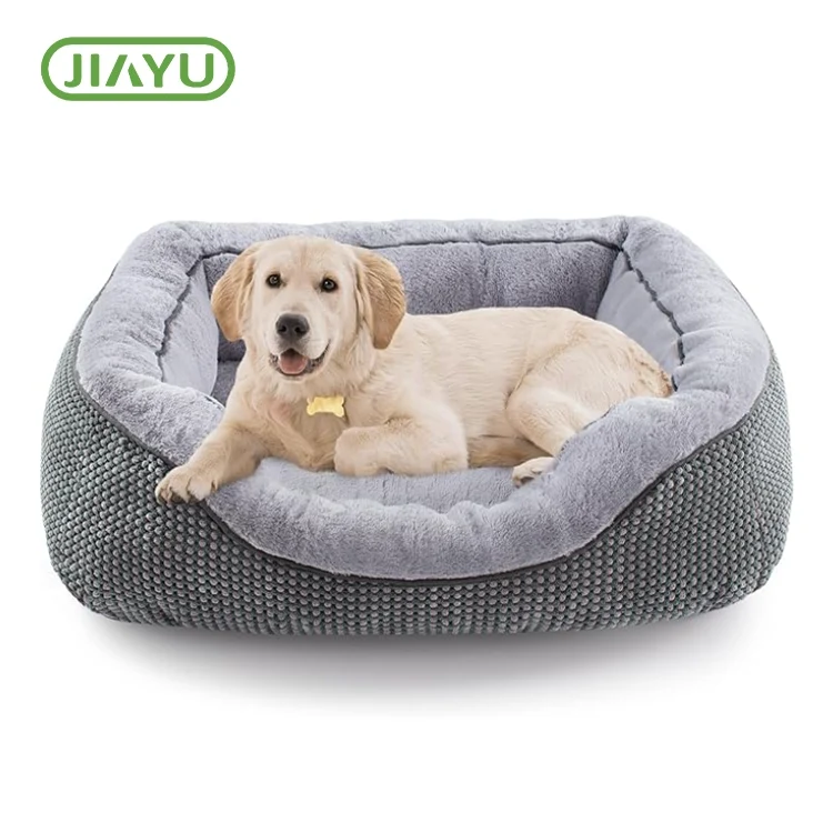 Sab nraum zoov Dog txaj